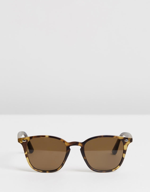 The Chelsea - Tortise